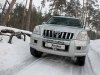 Двойняшки, но не близнецы. Toyota Land Cruiser Prado